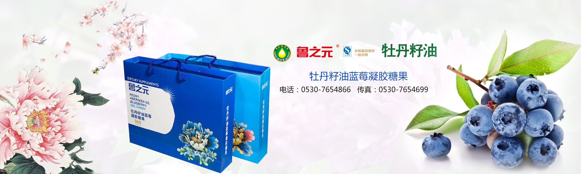 山東龍起重工有限公司 